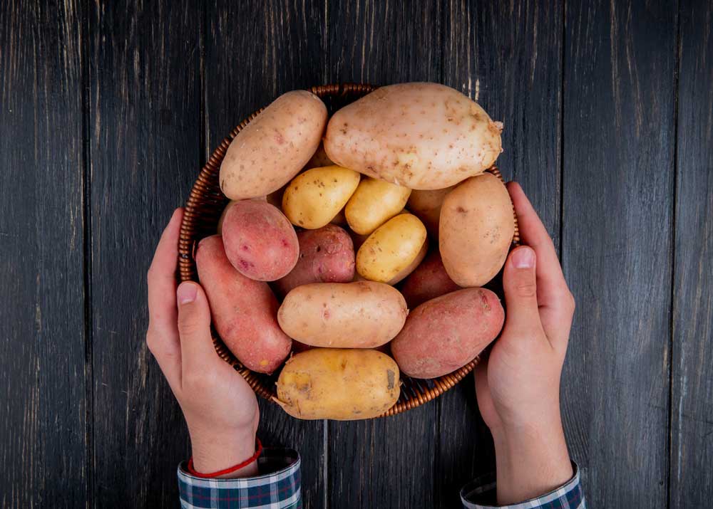 Приусадебное хозяйство: выращивание картофеля на продажу