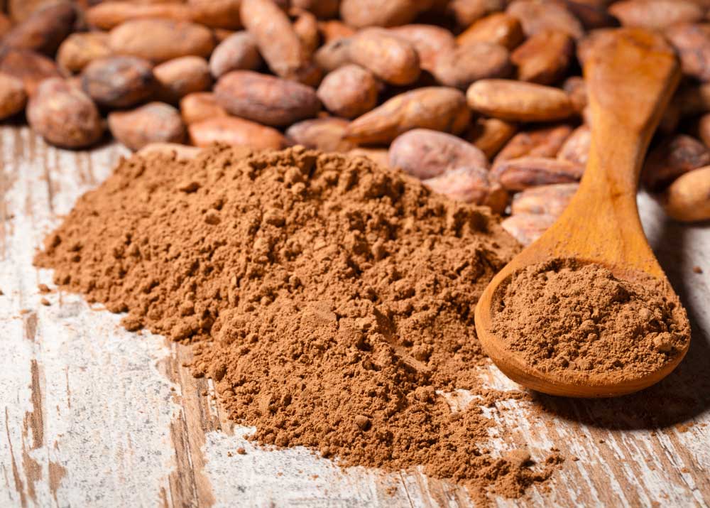 Как открыть свой бизнес по производству какао