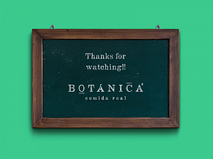Фирменный стиль бренда Botanica в духе тренда экологичности