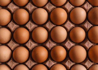 Рентабельный бизнес: производство куриных яиц