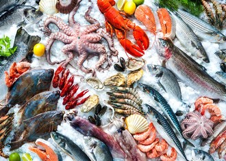 Обзор отрасли переработки рыбы и морепродуктов в России