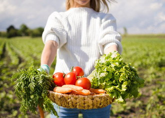Как заработать на выращивании сезонных овощей на своем участке