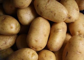 Выращивание картофеля как бизнес