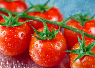Бизнес-план по выращиванию томатов черри в закрытом грунте